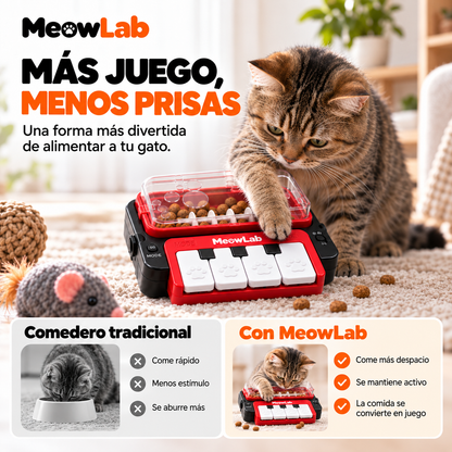 MeowFeeder