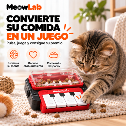MeowFeeder